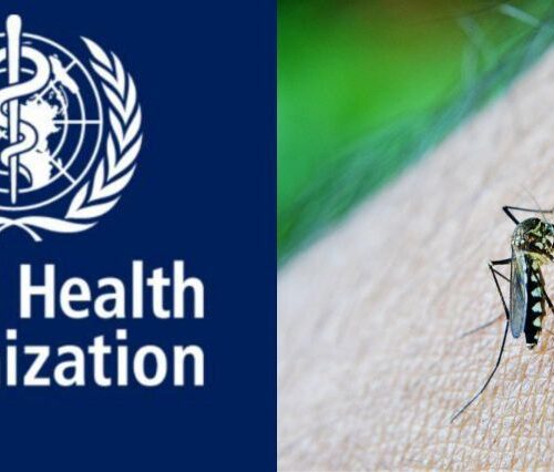 India Malaria Reduction