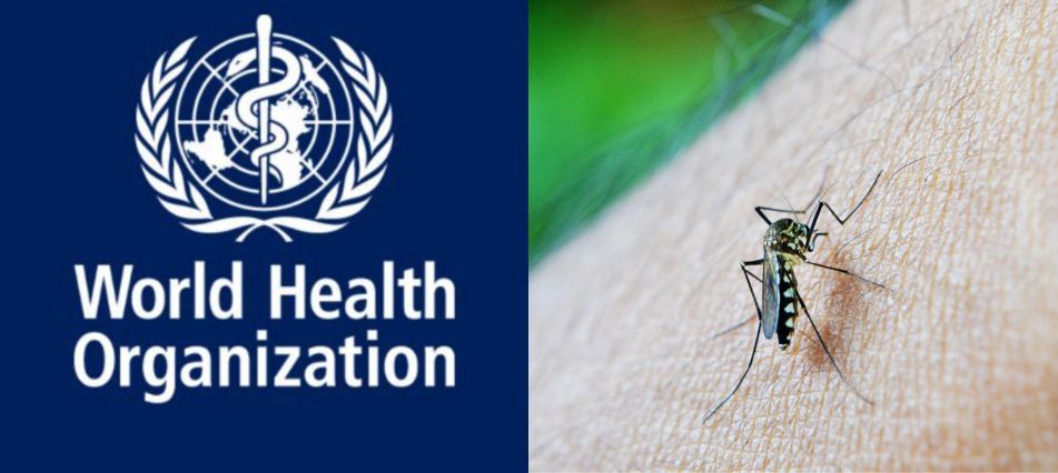 India Malaria Reduction